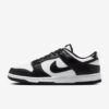 NIKEDUNKLOWRETRO Nike Dunk Low Retro